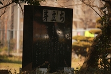 160304-140255-0.jpg