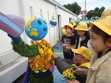きくどうがら.jpg