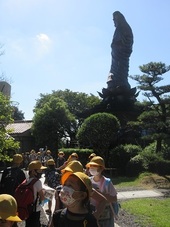 IMG_3783.jpg