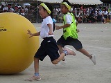 IMG_3960.jpg