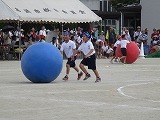 IMG_3964.jpg