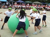 IMG_3969.jpg