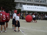 IMG_3971.jpg