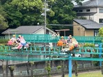 image1.jpeg