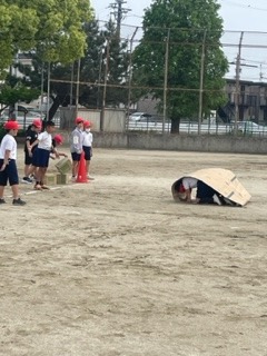 image1.jpeg